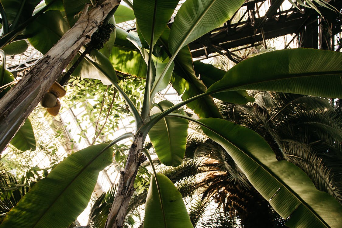 Live | Moda Circular: Gerando Valor na Biodiversidade Brasileira